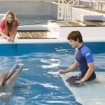 A Dolphin Tale 2: Movie Review