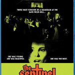 The Sentinel: Blu-Ray Review
