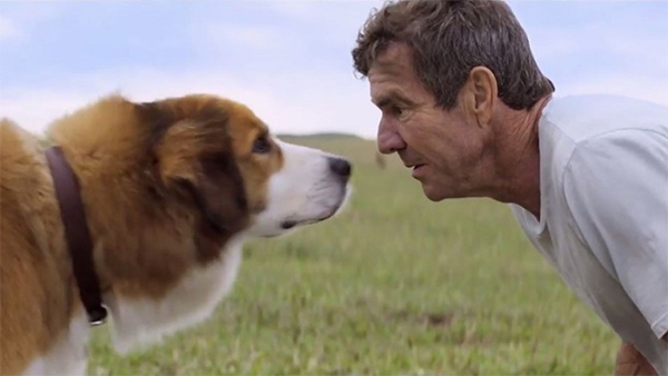 A Dog’s Purpose: Movie Review