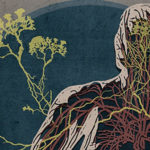 The Creeping Garden: Blu-Ray Review