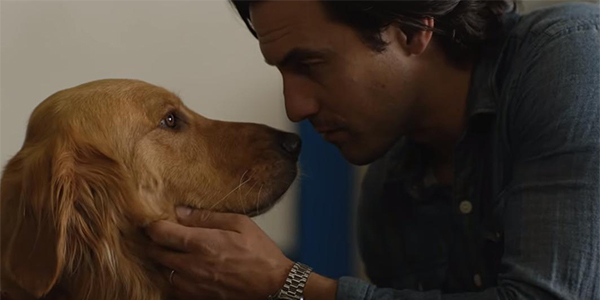 The Art of Racing in the Rain: Movie Review