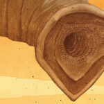 Dune (Limited Edition): 4K UHD Review